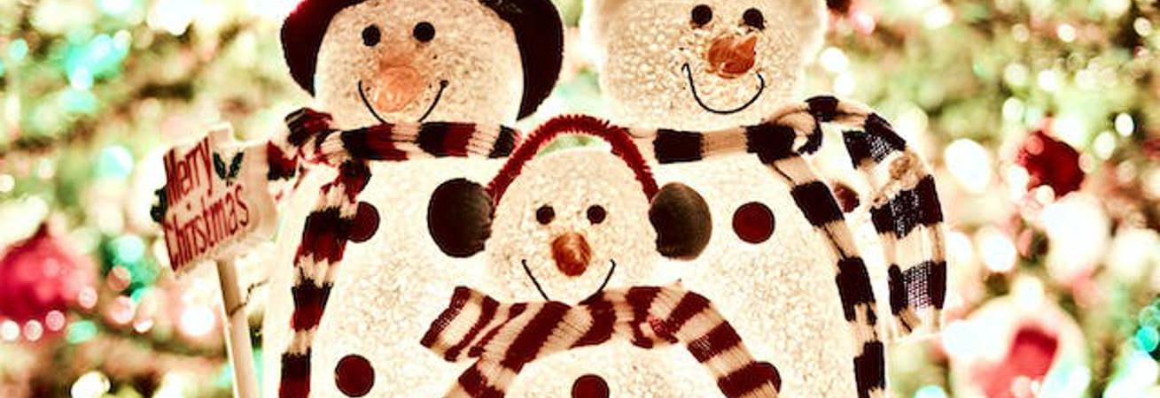 Wishing you a very happy Christmas