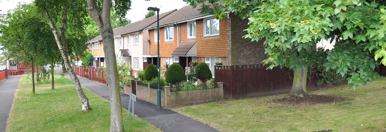 Looking for a home?