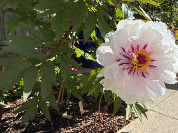 Our services over the May Day bank holiday